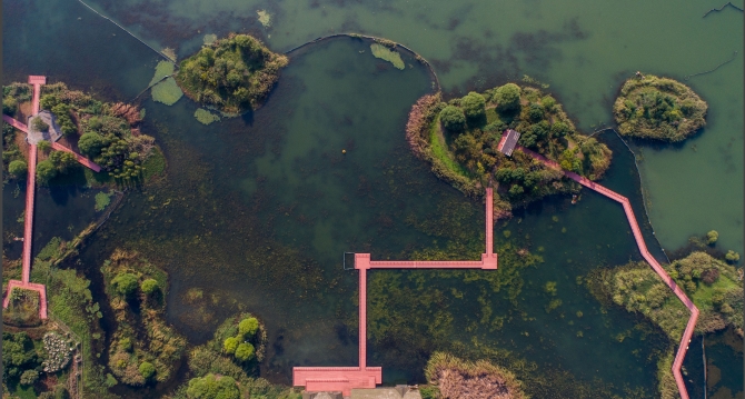 高通量水生生物多样性检测试剂